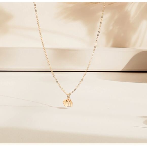 Dumpster Fire Necklace – 14K Gold Filled on Stainless Steel – 16" Dainty Chain - Picture 3 of 8